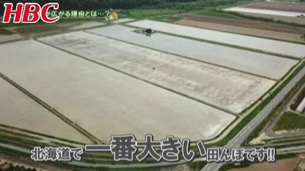 あぐり王国 放送内容